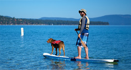 Stand Up Paddle Board